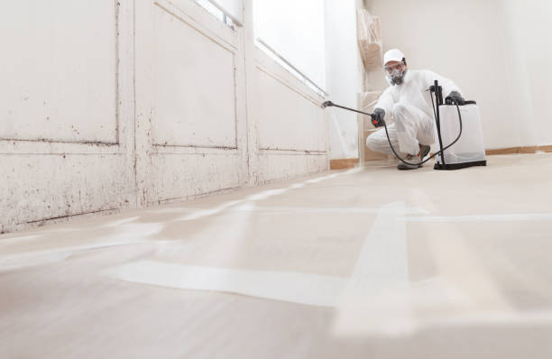 24/7 Emergency Attic Mold Remediation experts in Richmond, MI